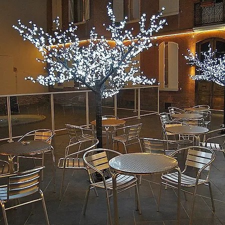 Otel Riquet Toulouse